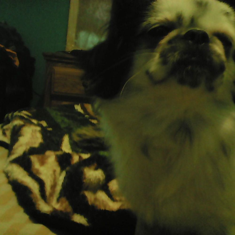 Meet your Posher, Edgar